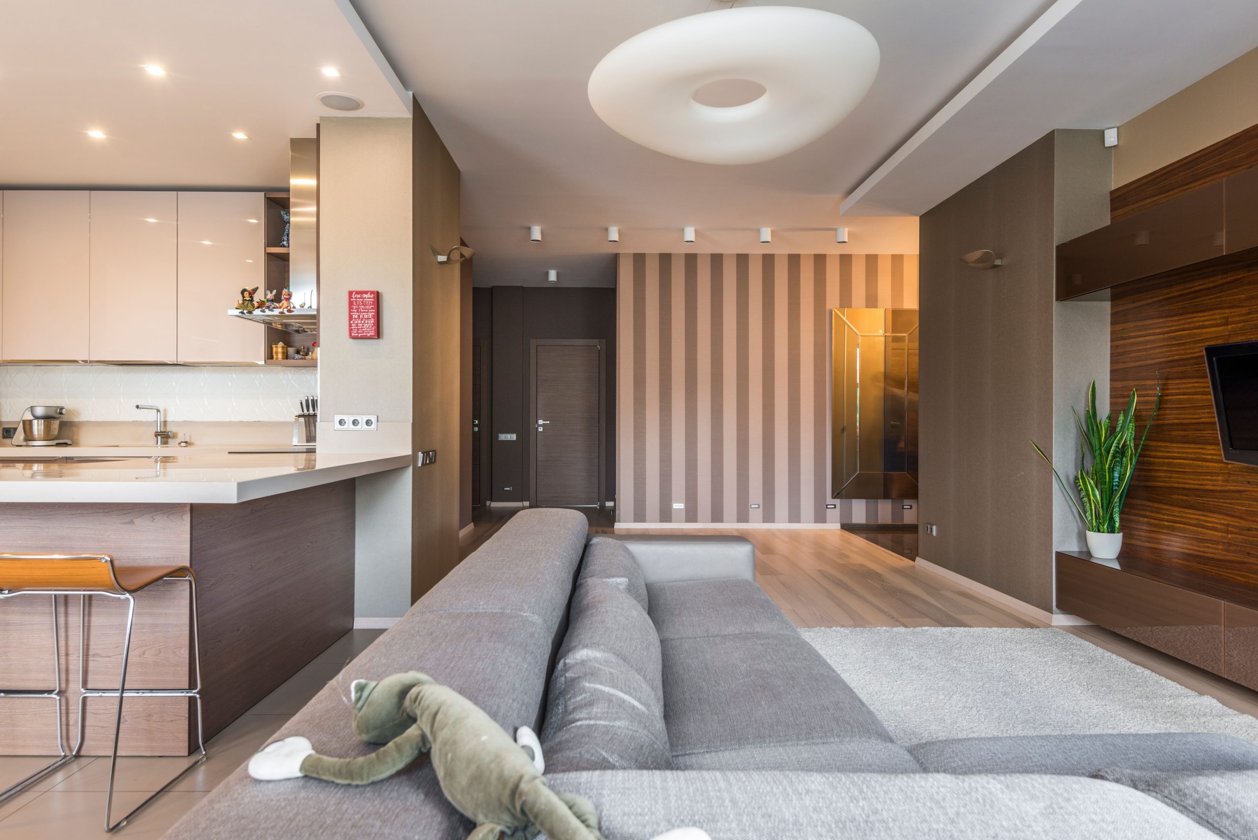 Salon spacieux design minimaliste avec cuisine ouverte