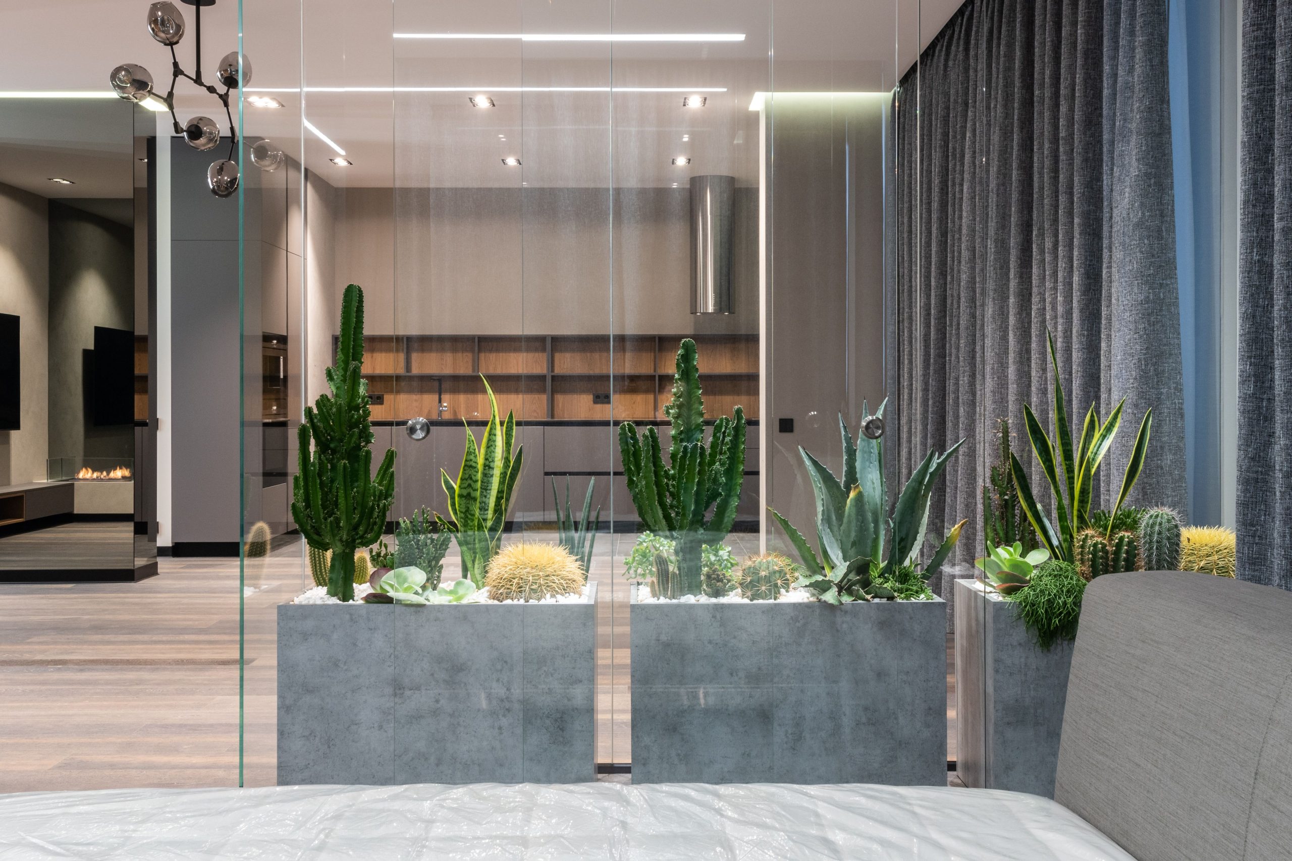 Séparation moderne avec véranda plantes entre espaces