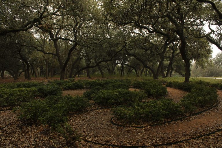 Jardin serein avec sentiers sinueux et chênes imposants